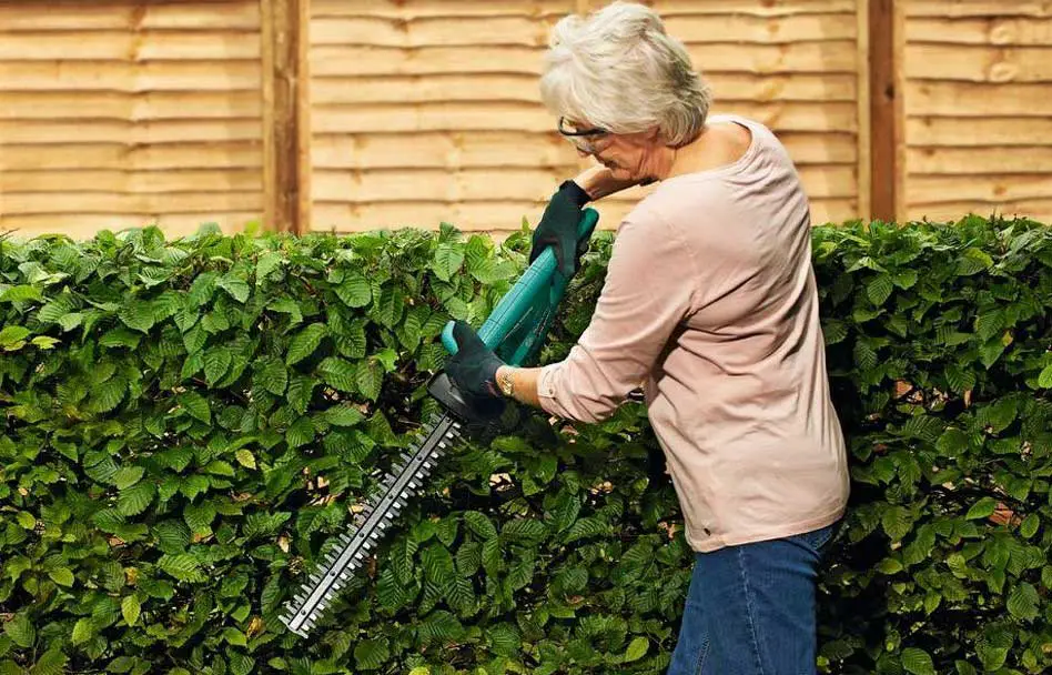 double sided hedge trimmer