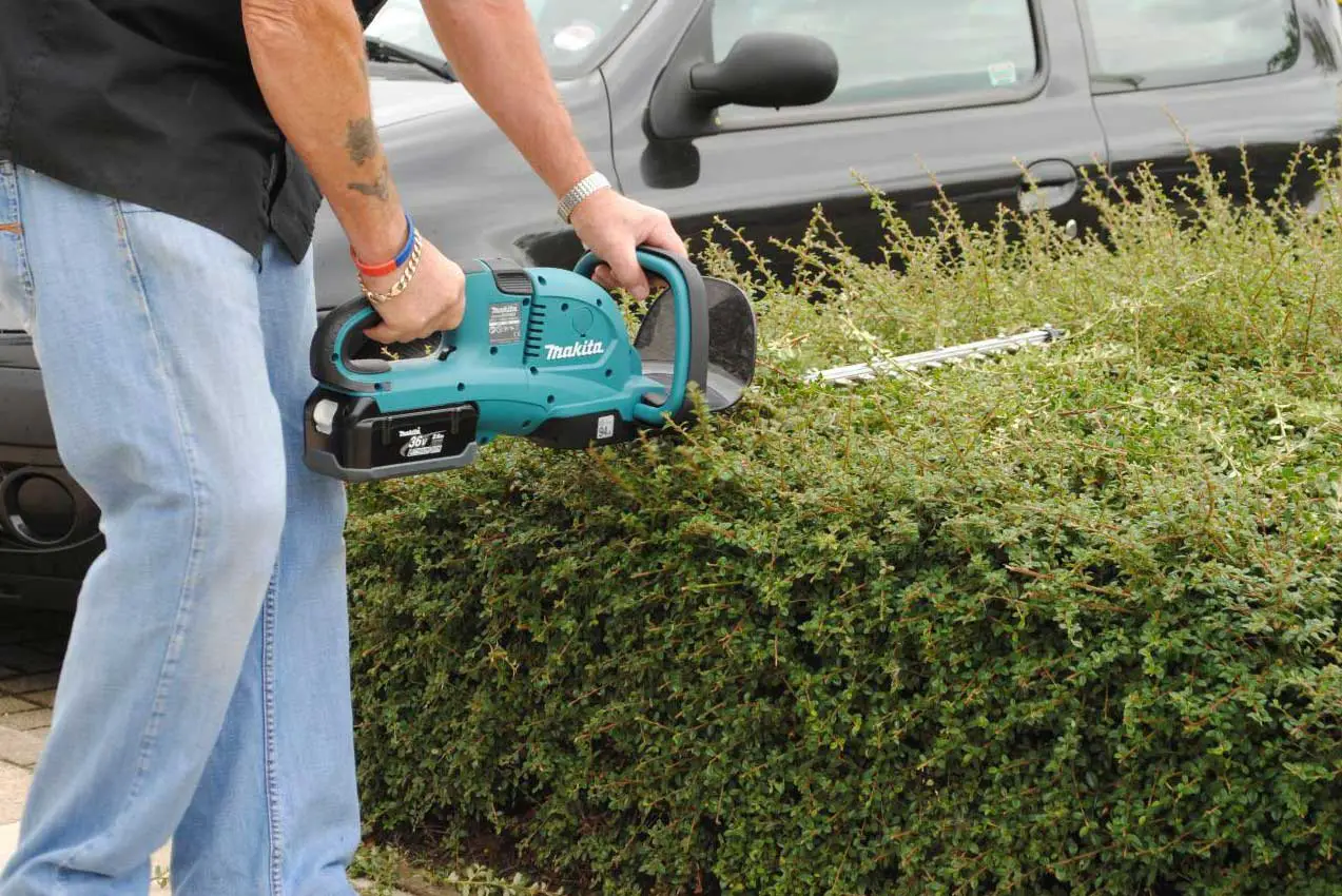 man trimming bushes with a hedge trimmer