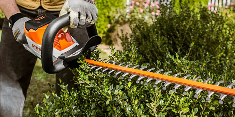 safety gloves and hedge trimmer