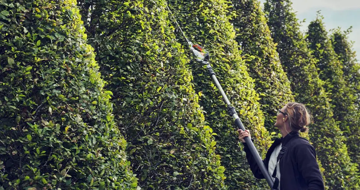 woman using long reach hedge trimmer