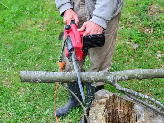 How To Clean An Electric Chainsaw