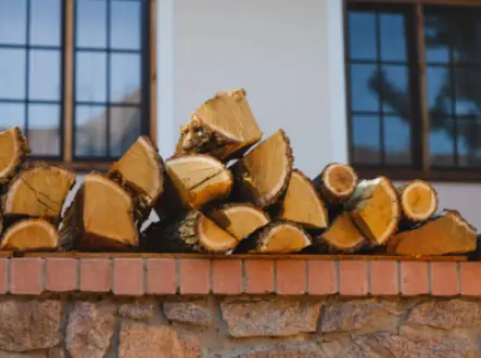 Firewood Identification - How To Identify Different Types Of Firewood