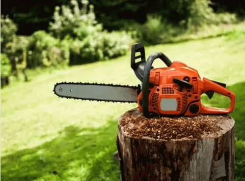 Best Tools To Cut Tree Branches