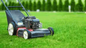 Lawn Mowers For Women | Equipment Girl