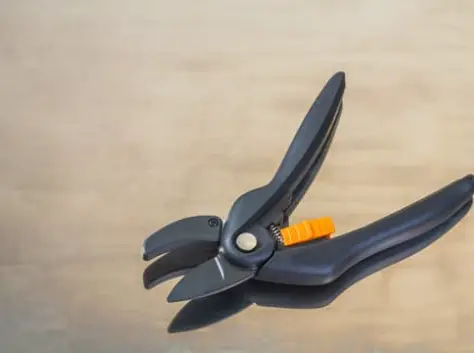 How To Sharpen Secateurs